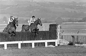 Cheltenham Gold Cup 1965. Arkle (on the right) seen leading Mill House over the last