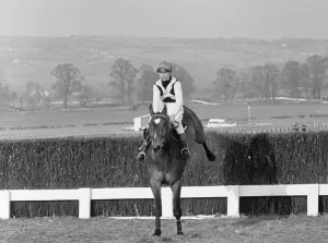 00097 Prints: Cheltenham Gold Cup 1965. Mill House taking a fence before finishing second to Arkle