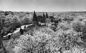Spring Prints: Cherry, pear and plum blossoms on the trees surrounding the oast houses in Newington
