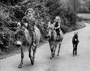Baby Prints: Children Animals Donkeys 3-year old Jose Hall look after her Donkey Jenny