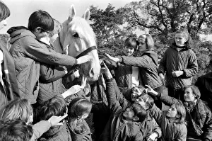 Children with animals: Sovereign'the massive grey Shire dray horse belonging