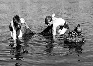Nm20060605 Prints: Children with Ducks Two boys fishing with a towel as a net - encounter a family of