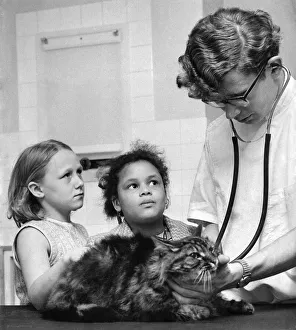 Veterinarian Prints: Children take their pets to the Harmsworth pet hospital run by the RSPCA watch Veterinary