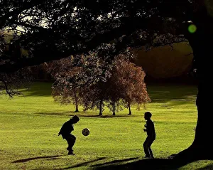 Sunshine Prints: Children playing in the sunshine on a November afternoon in Elmdon park Solihull. 1998