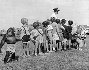 Queue Prints: Children queue with their Chimpanzee friend for an ice cream at Billy Smart Circus 6th