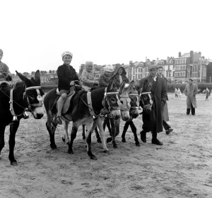 Children riding donkeys along the beach at Blackpool 5th August 1958