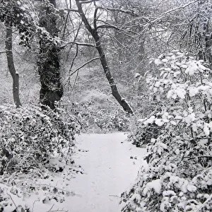 00182 Prints: Children sledging in the snow in and around Hadley Wood Hertfordshire