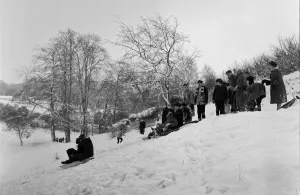 01358 Prints: Children sledging in Stoke Park, Bristol 31st December 1961