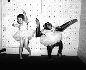 Ballerina Prints: Chimpanzee dancing with girl 1957 Animals Unusual Conda the chimp from Billy