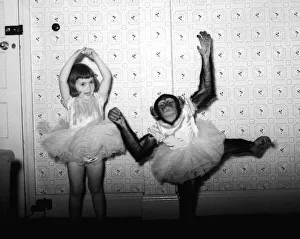 00150 Prints: Chimpanzee dancing with girl 1957 Animals Unusual Conda the chimp from Billy