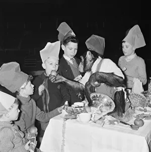 Chimpanzees of Bertram Mills circus with children at a Christmas party