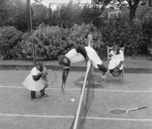 Chimpanzees Prints: Chimps from Billy Smarts Circus enjoying a game of tennis Animals Monkeys