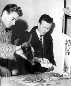 Chips Prints: Chips with plenty of salt and vinegar is still a firm favourite in Novermber 1962 when