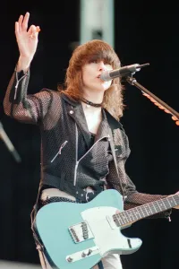 Chrissie Hynde (pictured) fronting her band The Pretenders