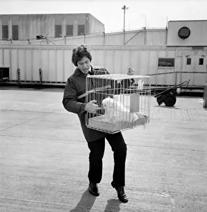 00058 Prints: Christine Onassis flew into Heathrow Airport today - first class
