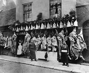 Victorian Prints: Christmas beef for sale at an un-named Cambridge Butcher at the turn of the the 20th