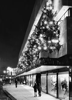 Trees Prints: Christmas comes to Hull city centre as the illuminated trees on the canopy of a