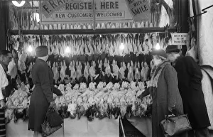 Christmas turkeys on display at F. Range High Class Butchers shop at 37 Wanstead High