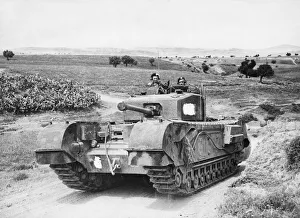 Churchill tank moving through Tunisian countryside in the Medjez-el-Bab area