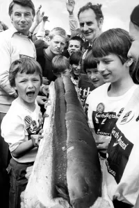 00495 Prints: The City of Newcastle 900 Years Anniversary Celebrations 1980 - The anniversary year