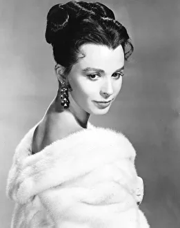 1950s Fashion Prints: Claire Bloom Actress who starred as Katya in MGMs The Brothers Karamazov Dbase