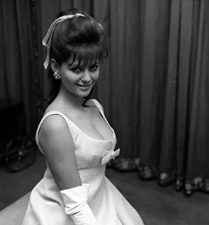 Claudia Cardinale appeared after the success of Sophia Loren