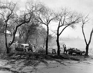 00570 Collection: Cleanup at Wavertree Park, Liverpool, Merseyside. 28th April 1959