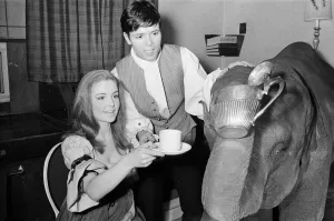 01187 Prints: Cliff Richard, Pippa Steel (18 year old cousin of Hayley Mills) and Tanya