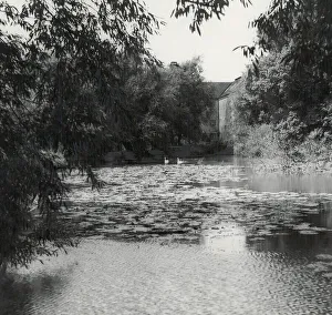 Mill Prints: Clifforf Mill, Stratford-upon-Avon. 29 / 08 / 1952