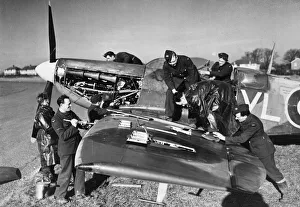 Planes Prints: A clipped wing Spitfire of the Royal Air Force being serviced at a Fighter Command