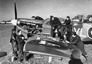 A clipped wing Spitfire of the Royal Air Force being serviced at a Fighter Command