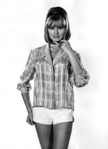 00030 Prints: Clothing Beach. Woman wearing a Checked shirt jacket and white mini shorts
