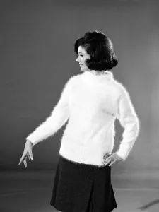 00436 Prints: Clothing: Fashion: Knitwear: Woman wearing animal jumpers. Model: Merial Weston
