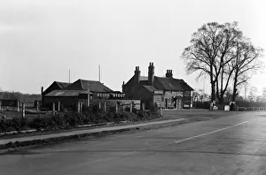 Trees Prints: The Coach and Horses at Harlington Corner, London, Circa 1930