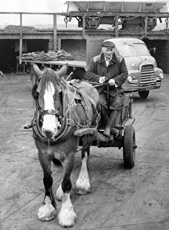 00051 Prints: Coal merchant dick Walker still delivers his coal by horse and cart