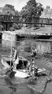 Boats Prints: Colin Sparkes tackles the overgrowth of weeds as part of the Conservators of the River