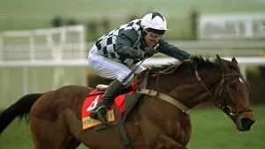 Images Dated 12th March 1996: Collier Bay winning the Champion Hurdle at Cheltenham