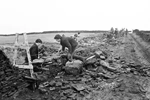 00523 Prints: Colne Valley school children dry stone walling at Delves Moor Farm, Slaithwaite