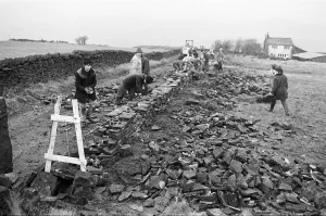 00523 Prints: Colne Valley school children dry stone walling at Delves Moor Farm, Slaithwaite
