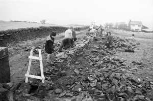 00523 Prints: Colne Valley school children dry stone walling at Delves Moor Farm, Slaithwaite