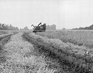 Farmer Prints: Combine harvesters at work in the fields of Kent 26th August 1954