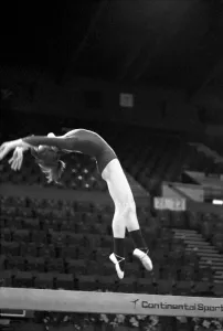 Competitors in the Champions All'Gymnastics competition at Wembley