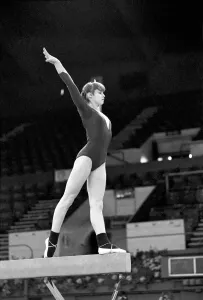 Competitors in the Champions All'Gymnastics competition at Wembley