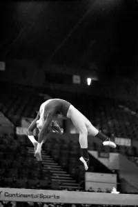 Competitors in the Champions All'Gymnastics competition at Wembley