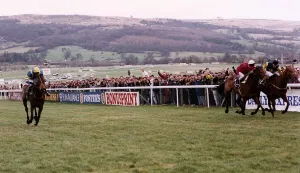 Cheltenham Prints: Cool Ground Wins The 1992 Cheltenham Gold Cup In A Driving Finish From The French Horse