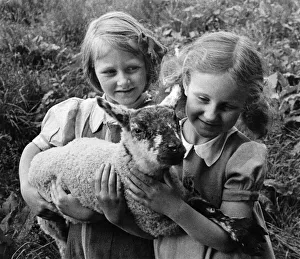 Farming Prints: Countryside youth service. A scheme to encourage young children to take an interest in