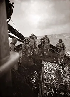 Ships Prints: The crew of a Yarmouth Herring boat pull in their catch on a storm tossed North Sea
