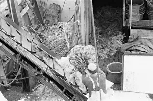 01026 Prints: Crewman of the Trawler Marbi Larde seen here unloading their catch at the Hull Fish Dock