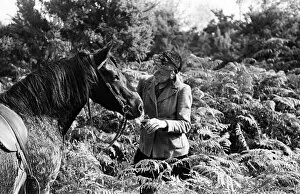 Riders Collection: Cross country horse riding in Beaconsfield, Buckinghamshire. Circa 1946