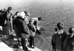00088 Prints: A crowd gathers on the banks of the River Wear at Chester le Street to watch members of